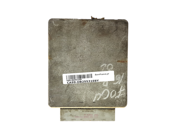 Sterownik 1M5F-12A650-BD JQZ2 Ford Visteon 