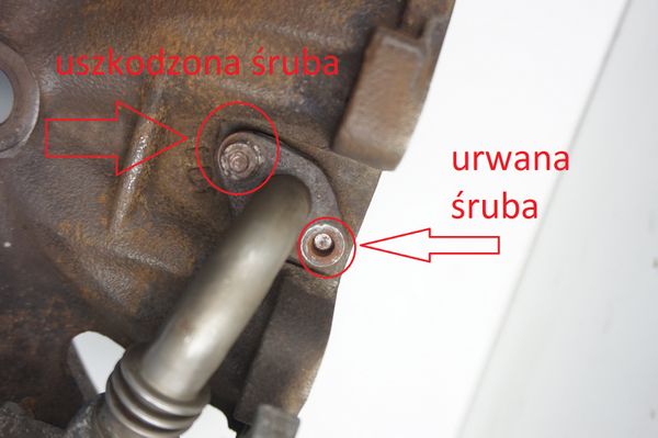 Kolektor Wydechowy 423586 0341G8 Peugeot Citroen  1.4 8v 