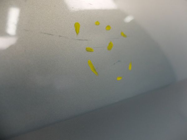 Drzwi Prawy Tył Citroen Xsara Picasso